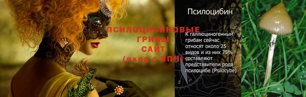 а пвп мука Верхний Тагил