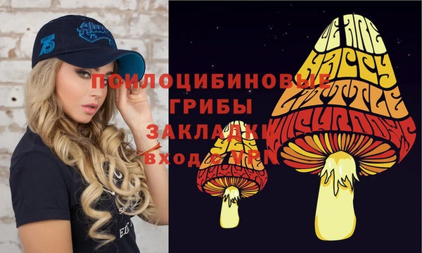 молекула духа Волосово