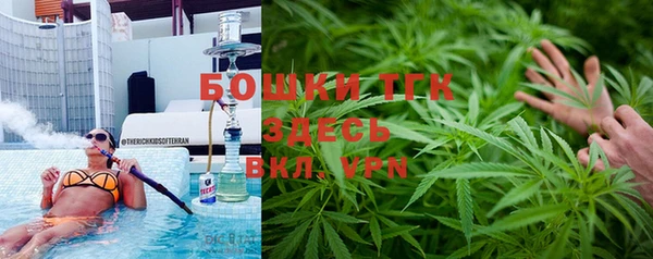 PSILOCYBIN Верея
